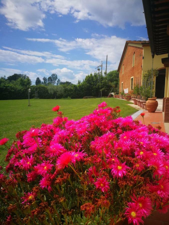 B&B La Fornace del Sole Capannori Esterno foto