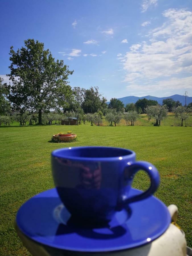 B&B La Fornace del Sole Capannori Esterno foto