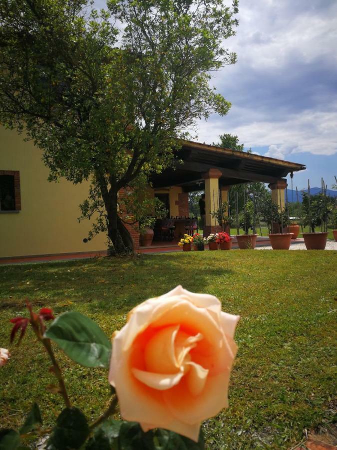 B&B La Fornace del Sole Capannori Esterno foto